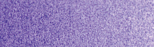 500x152 Winsor Amp Newton 0105672 Artists Watercolor 14ml Ultramarine Violet - Ultramarine Violet Watercolor