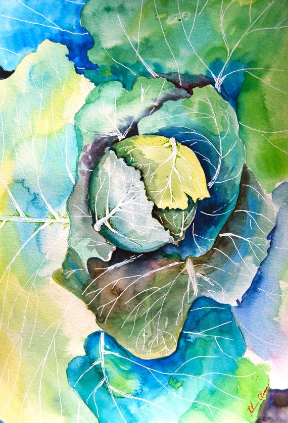 570x838 Watercolor Painting, Original Still Life, Cabbage Painting, - Unique Watercolor Paintings