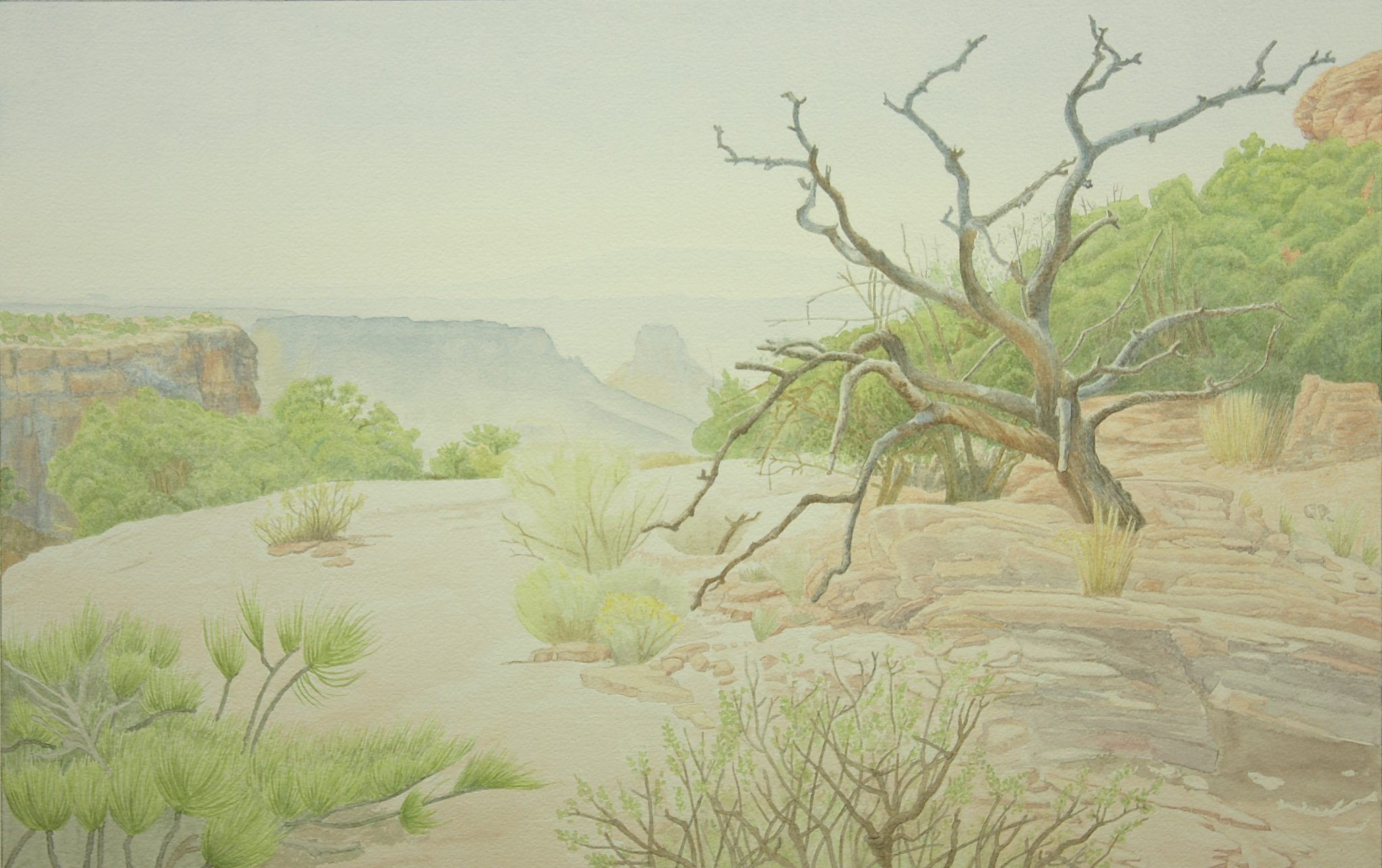 2048x1286 Trail To Dead Horse Point Drawing - Utah Watercolor