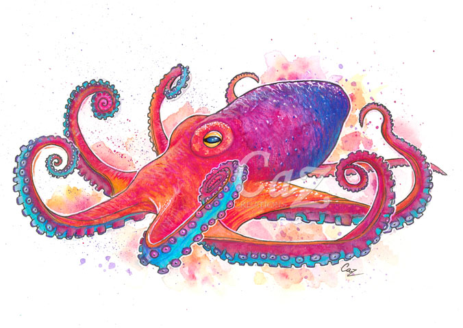 676x479 Vibrant Octopus Fine Art Watercolor By Cazziart - Vibrant Watercolor