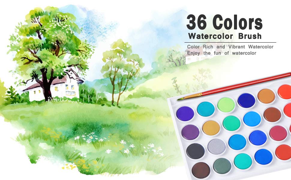 970x600 Xpassion Watercolor Artist Set 36colors With Water - Vibrant Watercolor