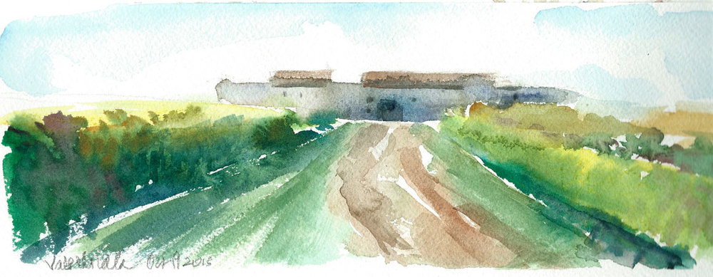 1000x389 Christina Girardi - Vineyard Watercolor