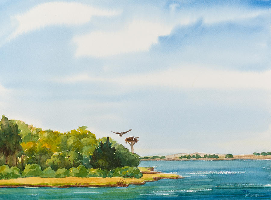 900x665 Ospreys On The Vineyard Watercolor Painting Painting By Michelle - Vineyard Watercolor