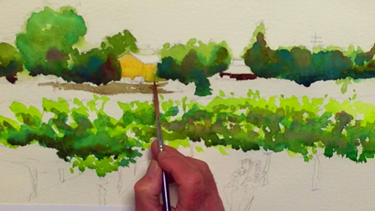 1280x720 The Road To Wine Country A Vineyard Watercolor Landscape - Vineyard Watercolor