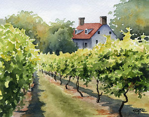 300x236 Vineyard Art Print Watercolor Painting 8 X 10 Signed By Artist Dj - Vineyard Watercolor
