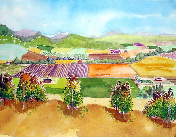 570x444 Vineyard Watercolor Painting Wall Art Sale Nature Home Etsy - Vineyard Watercolor