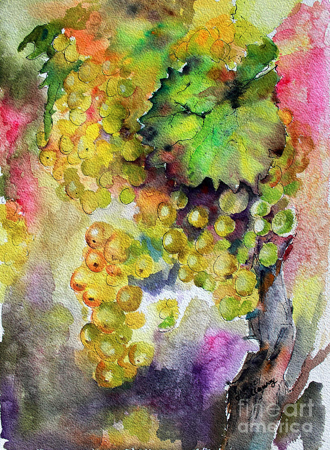 660x900 White Wine Grapes Vineyard Watercolor Painting Painting By Ginette - Vineyard Watercolor