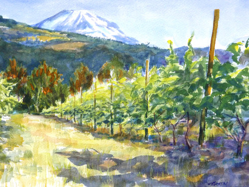 500x375 Wine Amp Watercolor - Vineyard Watercolor