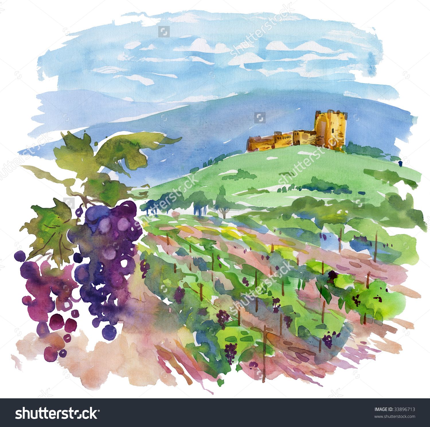 1500x1489 Art, Vineyard, Landscape, Painting (Watercolor) Stock Photo - Vineyard Watercolor