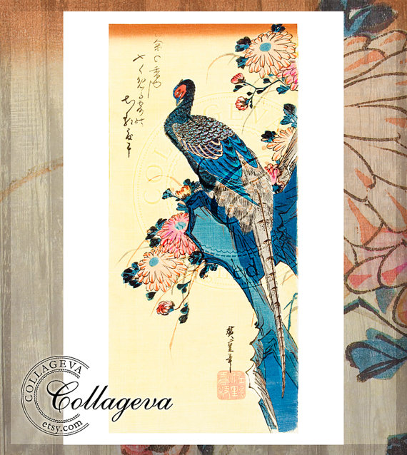 570x638 Japanese Peacock, Flowers, Extra Large Printable Image, Vintage - Vintage Japanese Watercolor Paintings
