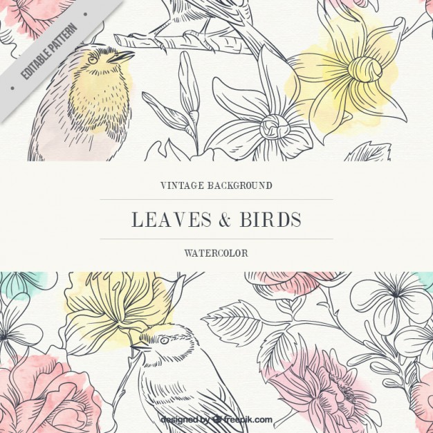 626x626 Vintage Watercolor Leaves And Birds Background Vector Free Download - Vintage Watercolor