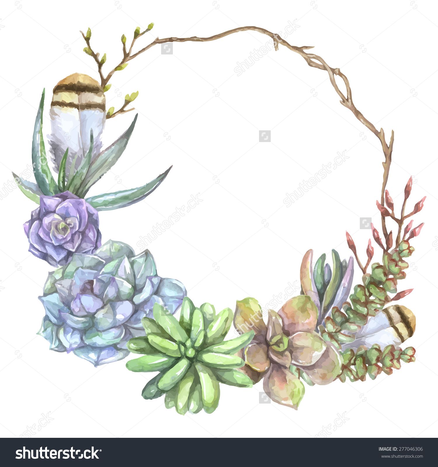 1500x1600 Vintage Watercolor Frame With Tree Branch, Feathers And Succulents - Vintage Watercolor