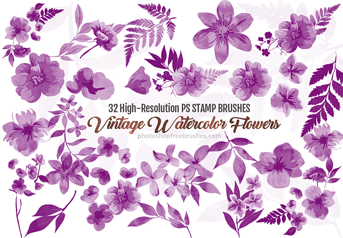 700x487 32 Vintage Watercolor Flower Brushes For Photoshop Photoshop - Vintage Watercolor Flowers