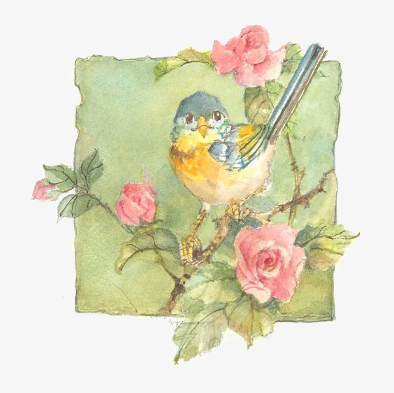 564x562 Vintage Watercolor Flowers, Watercolor Clipart, Flowers - Vintage Watercolor Flowers