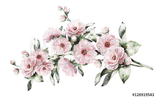 500x313 Vintage Watercolor Flowers. Floral Illustration, Flower In Pastel - Vintage Watercolor Flowers