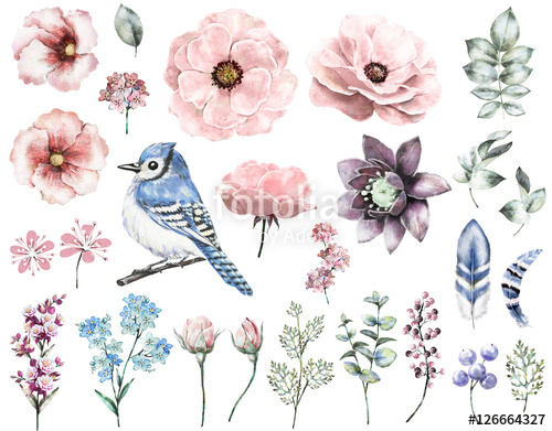 500x391 Set Vintage Watercolor Elements Of Rose, Collection Garden And - Vintage Watercolor Flowers