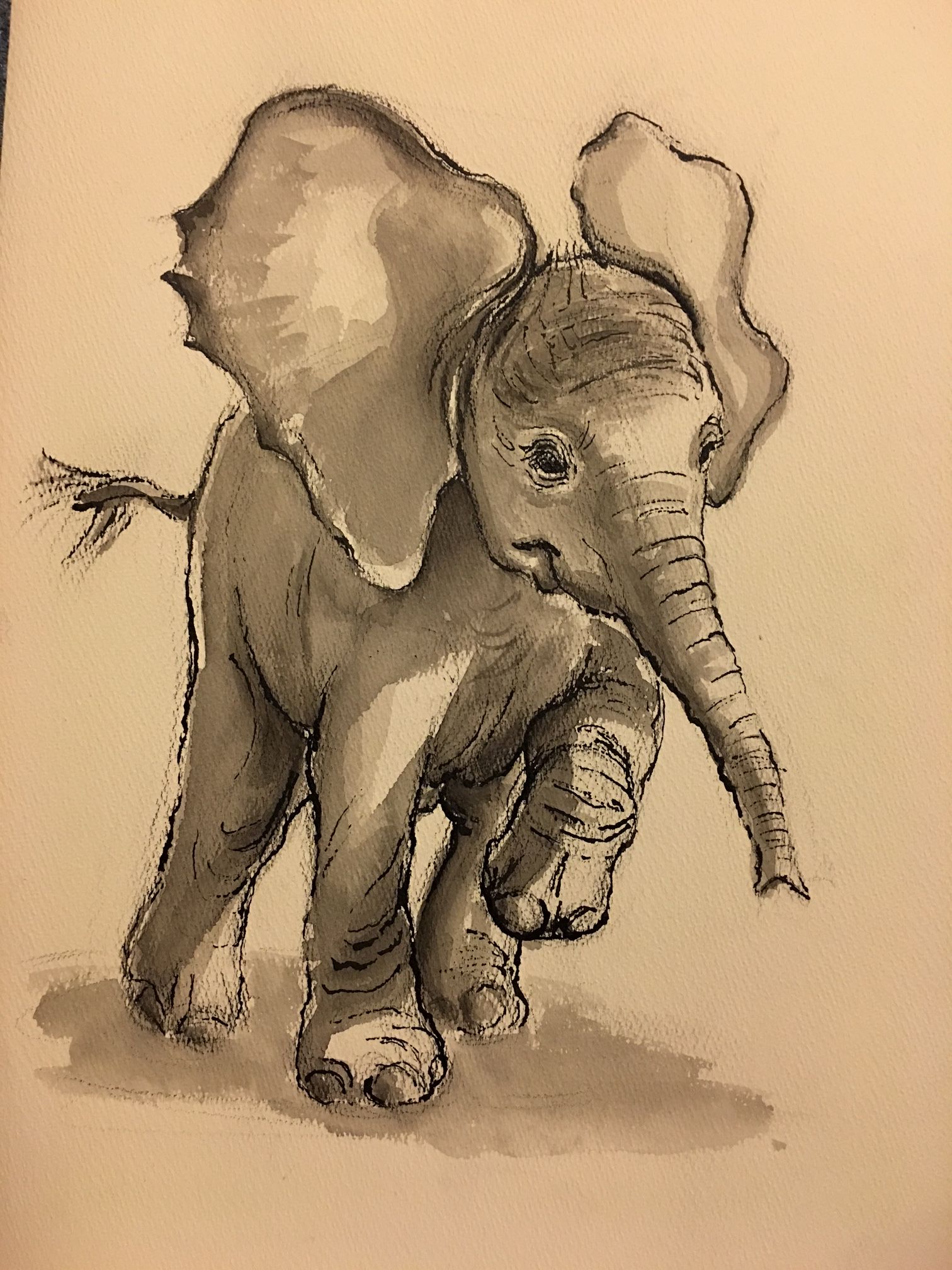 1512x2016 Original Baby Elephant Painting By Rebecca Rees. Ink Wash And Crow - Vintage Watercolor Paper