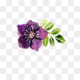 260x260 Purple Watercolor Png Images Vectors And Psd Files Free - Violet Flower Watercolor