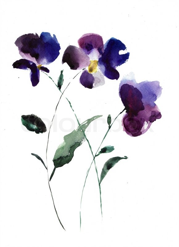 581x800 Watercolor Illustration Of Violet Flowers Stock Photo Colourbox - Violet Flower Watercolor