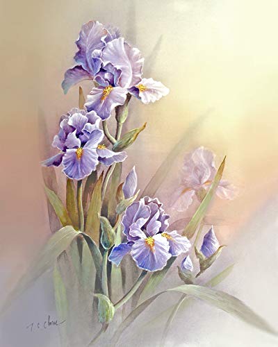 400x500 Violet Iris Flowers With Faded Background Print Of - Violet Flower Watercolor