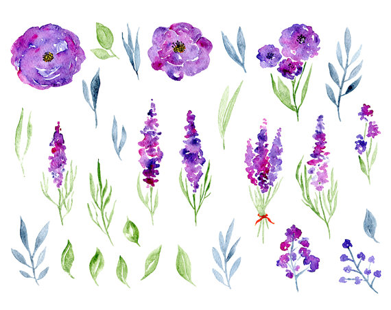 570x452 Watercolor Floral Clipart 29 Purple Violet Flowers Aquarelle - Violet Watercolor