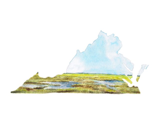 642x514 Chincoteague Island Virginia Virginia State Print Virginia Etsy - Virginia Watercolor