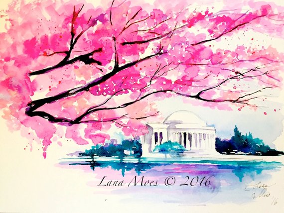 570x428 Cherry Blossoms In Washington Dc Watercolor Travel Etsy - Washington Dc Watercolor