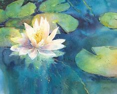 Water Lily Watercolor