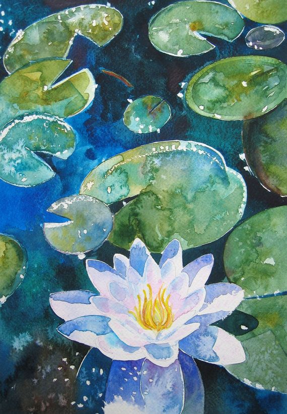 570x821 Water Lily - Water Lily Watercolor