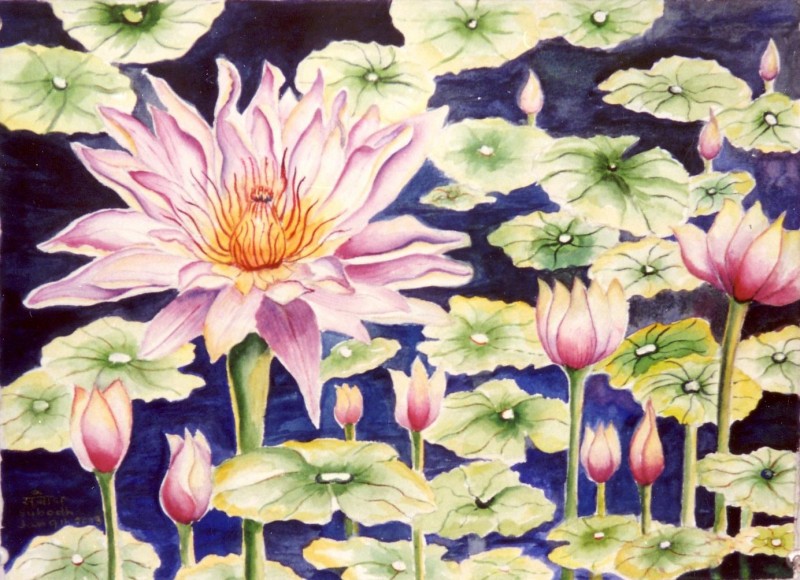 800x580 Water Lily By Artist Subodh Maheshwari Nature Art Watercolor - Water Lily Watercolor