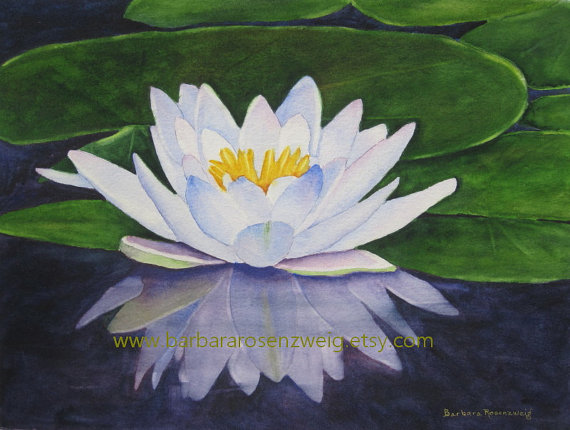 570x430 Water Lily Print, Flower Wall Art, Lily Wall Art, Flower - Water Lily Watercolor