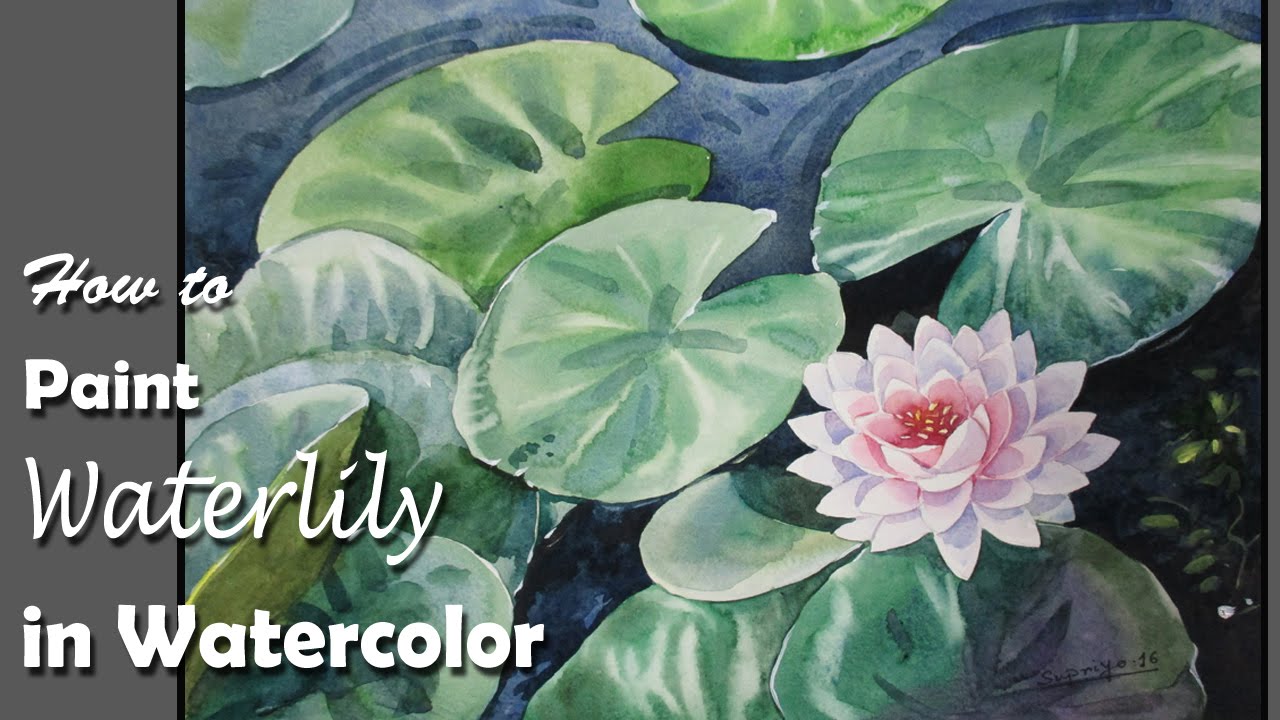 1280x720 How To Paint Water Lily In Watercolor Step By Step - Water Lily Watercolor