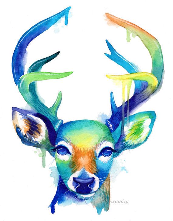 570x725 Colorful Doe And Blue Green Buck Duo Pack - Watercolor Abstract Animals
