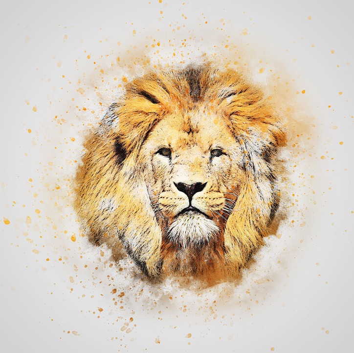 724x720 Free Photo Head Art Portrait Lion Abstract Watercolor Animal - Watercolor Abstract Animals
