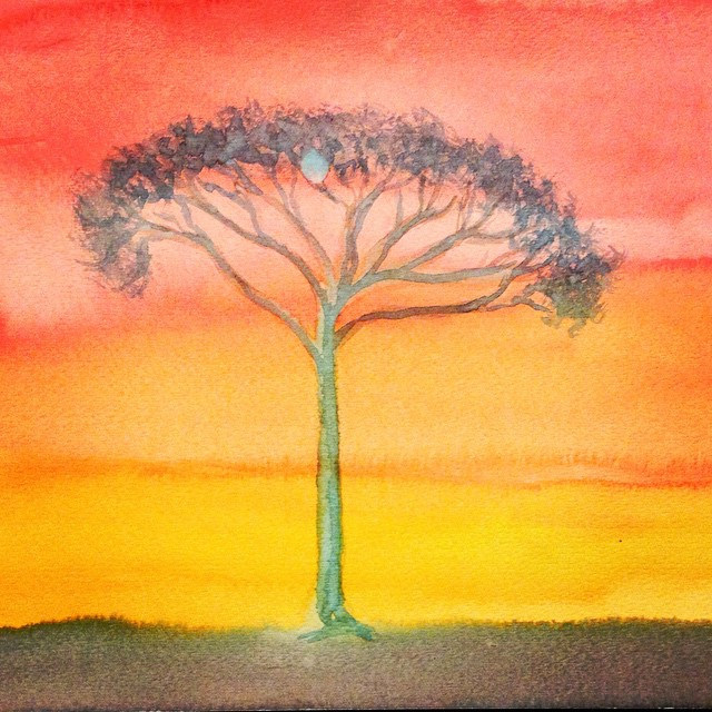 640x640 African Acacia Tree. Watercolor Painting By Wilson. - Watercolor Acacia