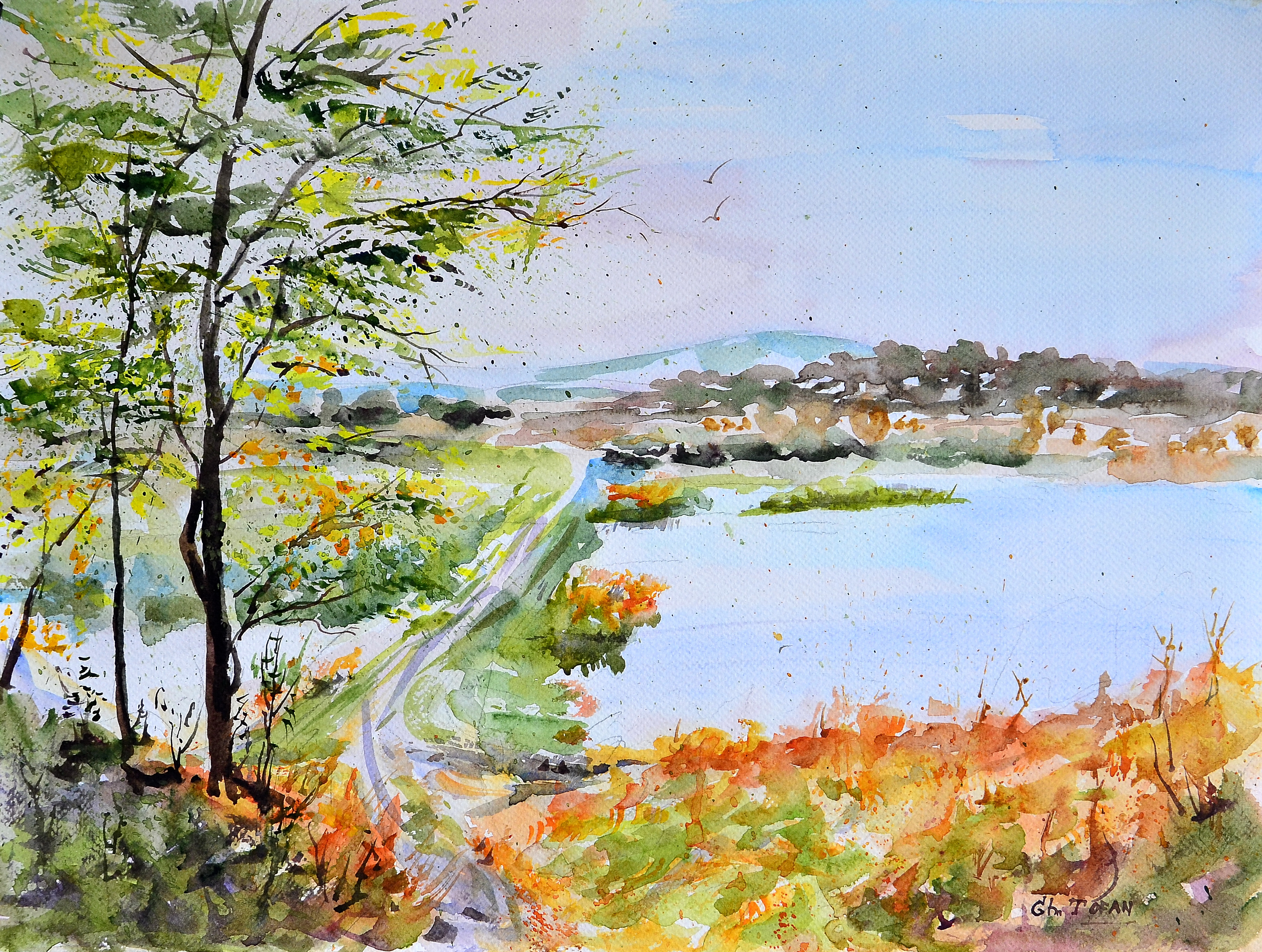 3596x2714 Salcami Pe Raut (Acacia On Raut River, Moldova), Watercolor - Watercolor Acacia