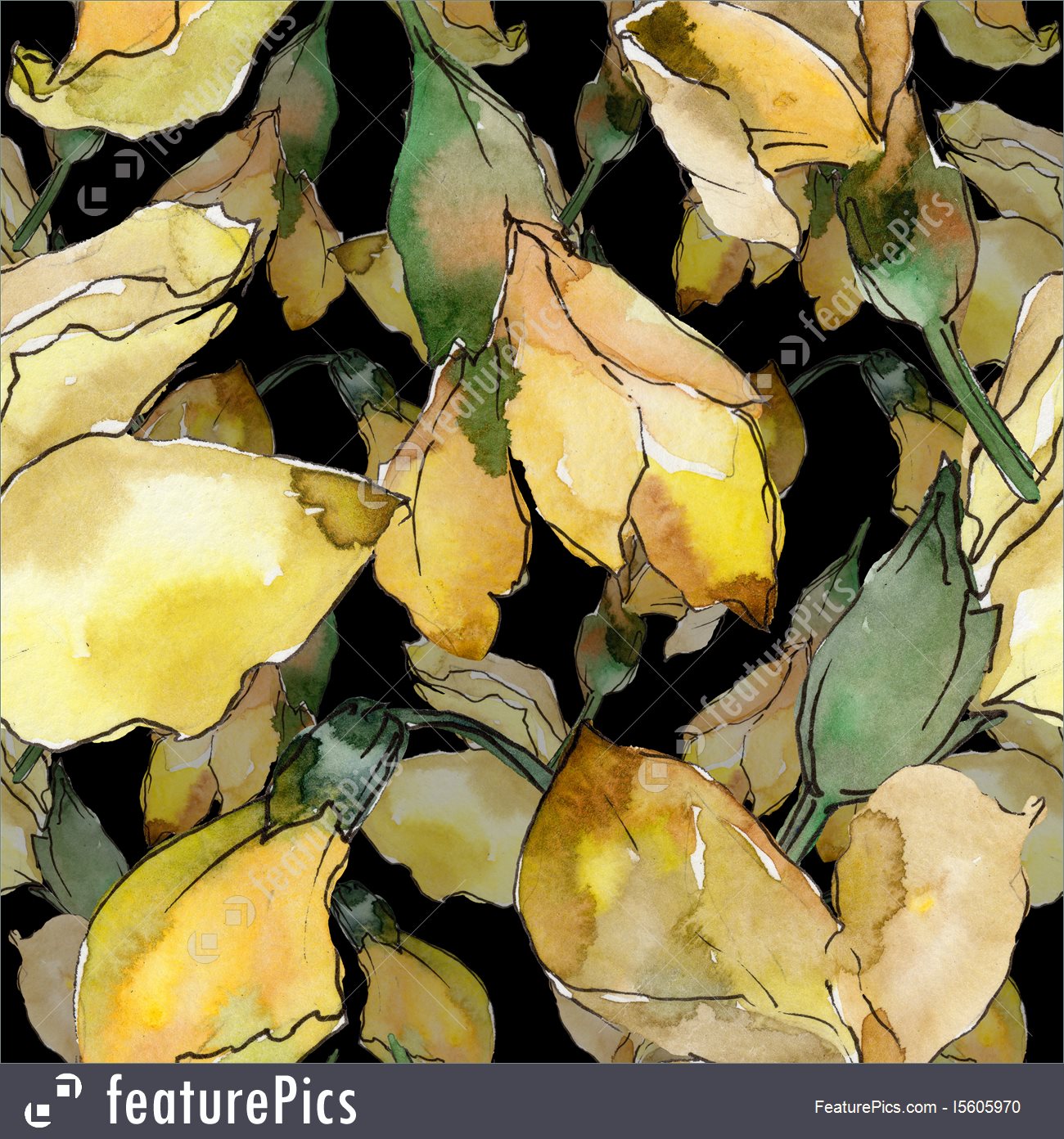 1300x1392 Acacia Leaves Pattern Watercolor Background - Watercolor Acacia