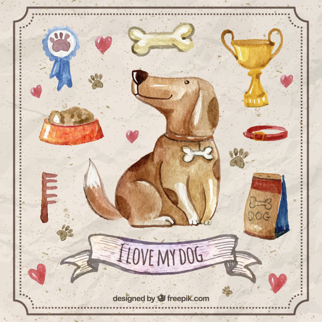 626x626 Watercolor Dog With Pet Accessories Vector Free Download - Watercolor Accessories