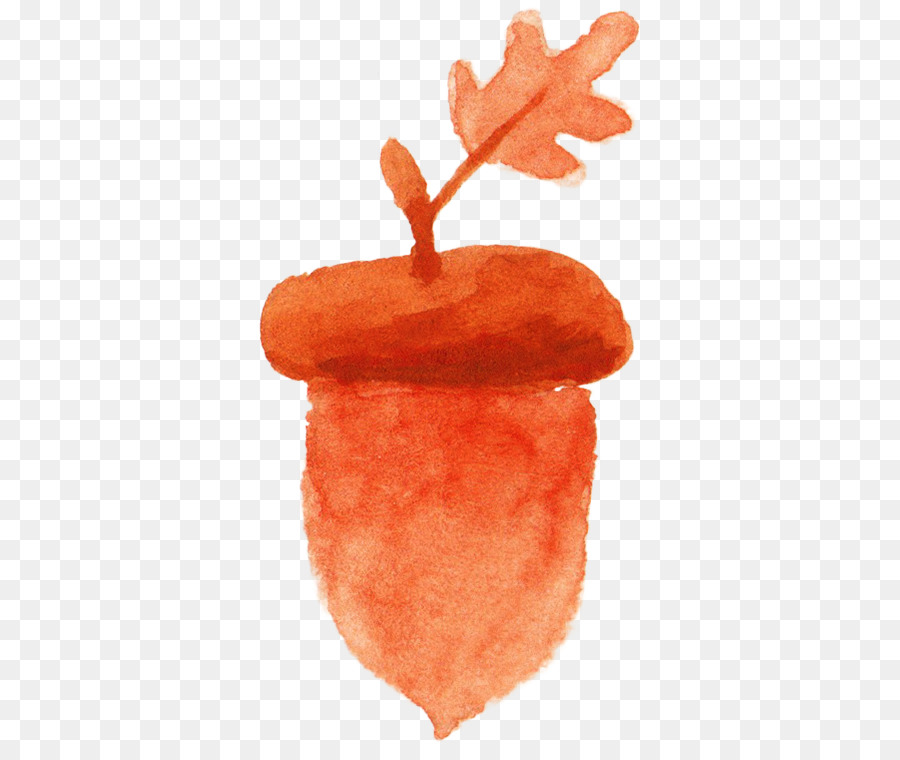 900x760 Acorn Watercolor Painting Orange - Watercolor Acorn