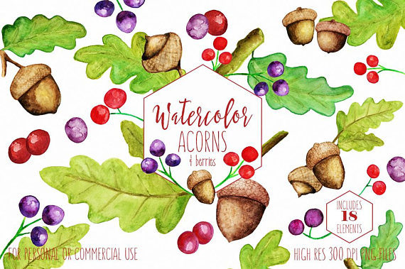 570x379 Acorn Clipart Watercolor ~ Frames ~ Illustrations ~ Hd Images - Watercolor Acorn