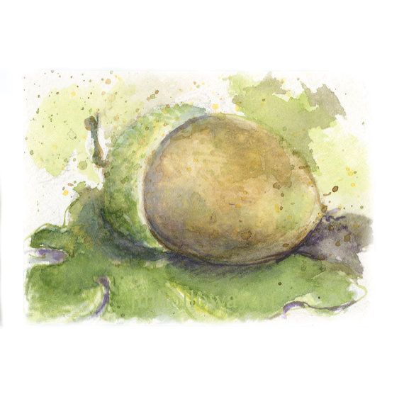 570x570 Watercolor Acorn Acorn Print By Jenhollowayart On Etsy Acorns - Watercolor Acorn