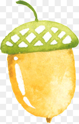 260x406 Watercolor Acorn Png, Vectors, Psd, And Clipart For Free Download - Watercolor Acorn