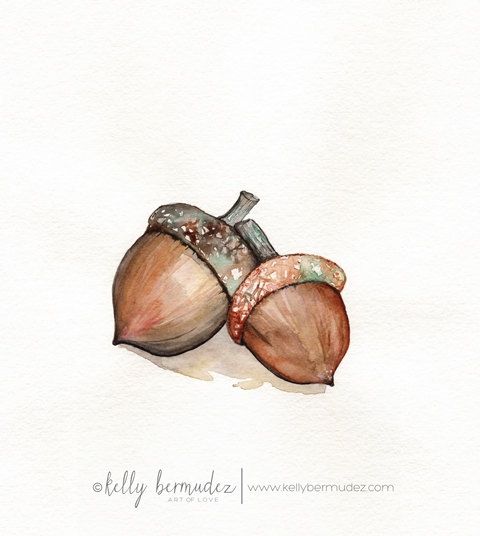 480x536 Acorn Love Acorns Fall Autumn Brown By Kellybermudez - Watercolor Acorn