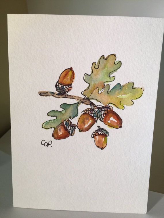 570x760 Acorn Watercolor Card Watercolor Cards, Watercolor And Etsy - Watercolor Acorn