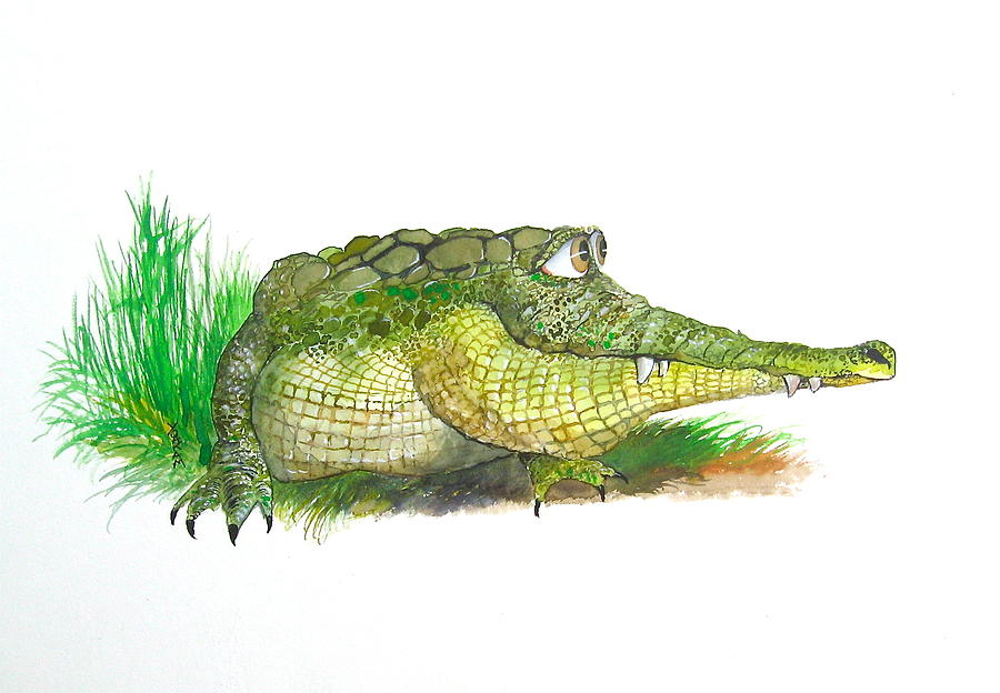 900x624 Amorous Alligator Painting By Richard Yoakam - Watercolor Alligator
