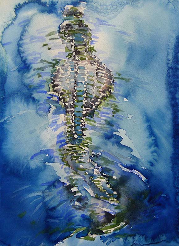 580x795 Everglades 2011 - Watercolor Alligator
