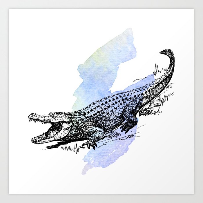 700x700 Florida Alligator On Purple Blue Green Watercolor Art Print By - Watercolor Alligator