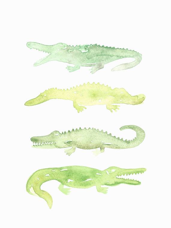 570x760 Watercolor Alligator Print - Watercolor Alligator