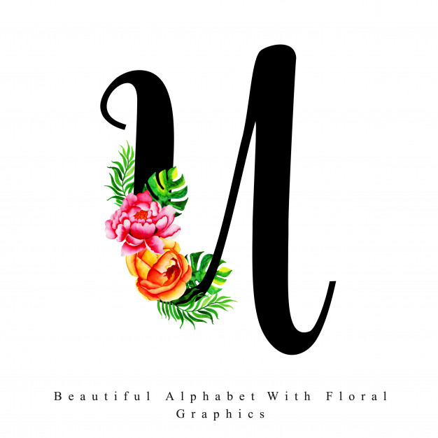626x626 Alphabet Letter U Watercolor Floral Background Vector Premium - Watercolor Alphabet Letters
