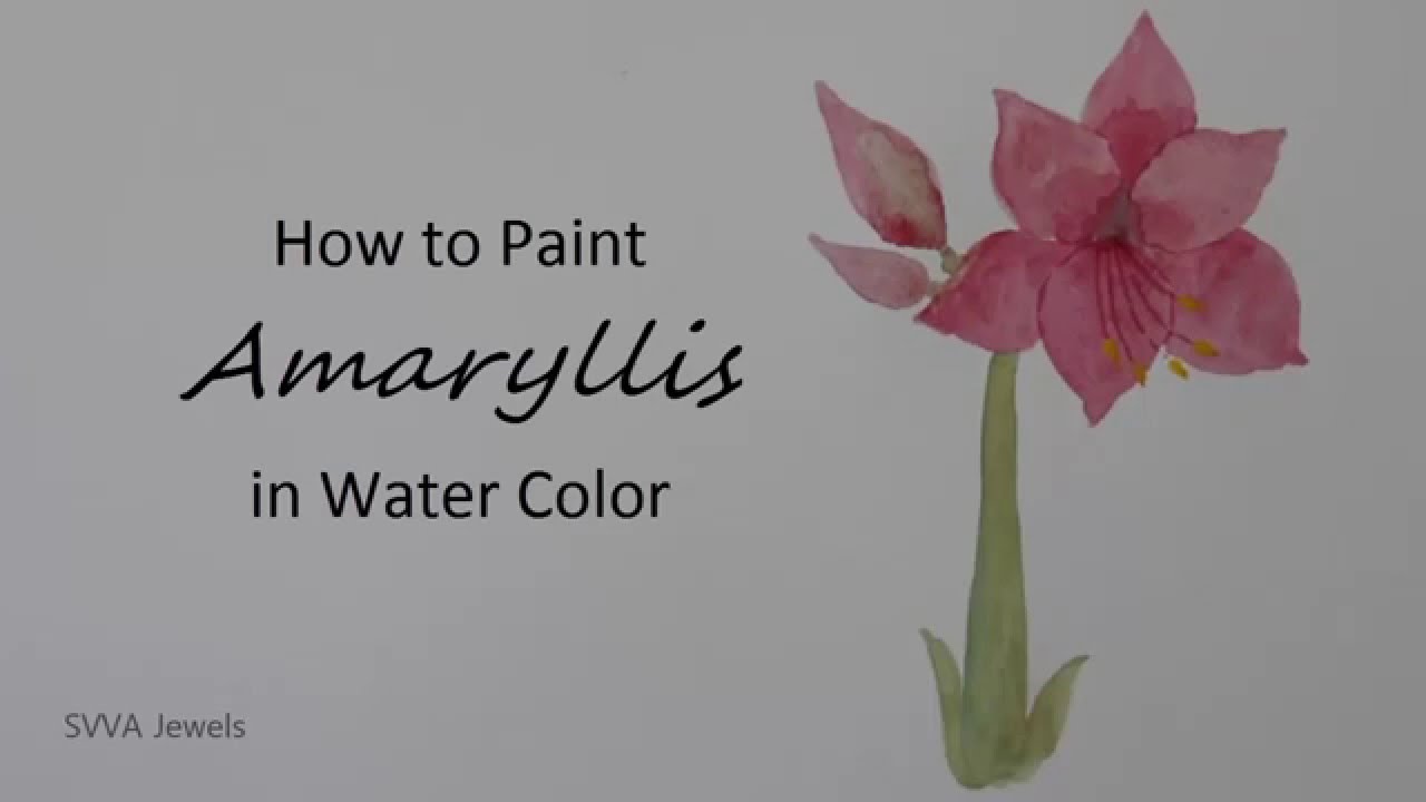 1280x720 How To Paint Amaryllis In Watercolor - Watercolor Amaryllis